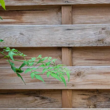 144 Lower Cheltenham Place Πανσιόν *