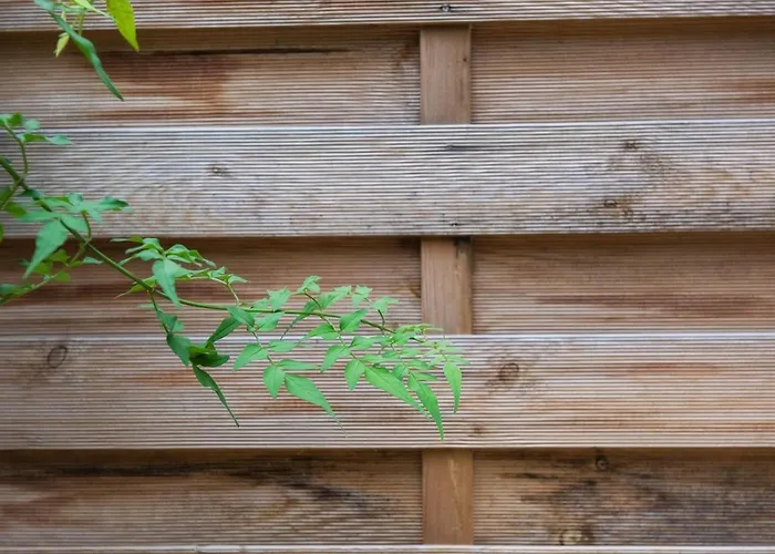 144 Lower Cheltenham Place Affittacamere *